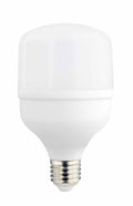 LED Bulb E27 T80 24W