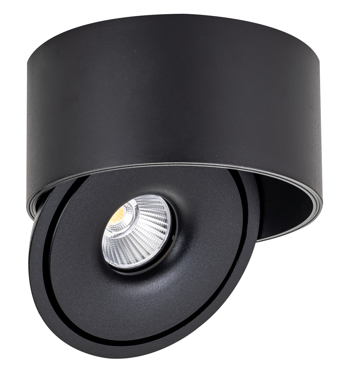 LED COB Downlight 20W ROUND ROTATABLE BLACK - BRIDGELUX