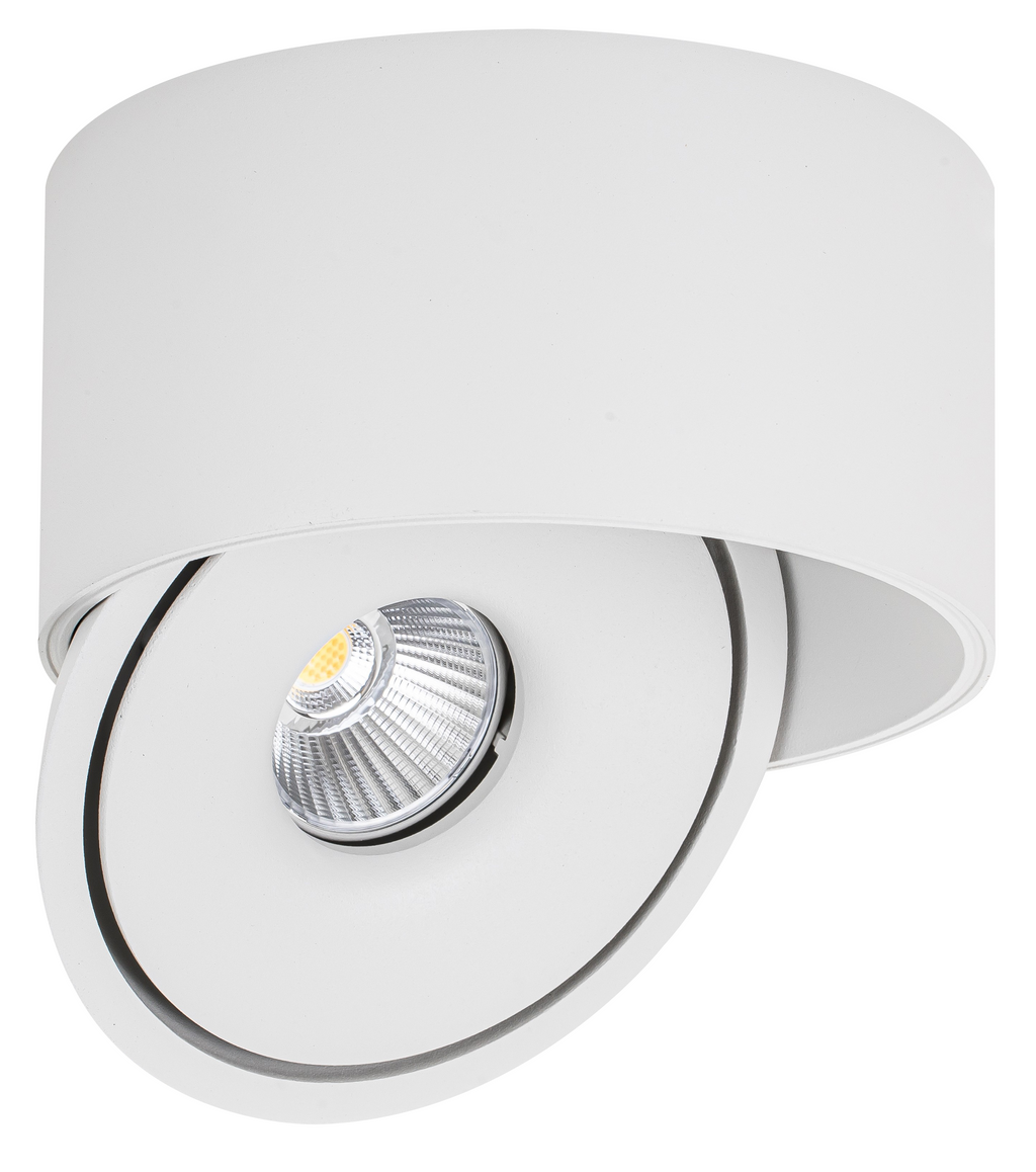 LED COB Downlight 20W ROUND ROTATABLE WHITE - BRIDGELUX