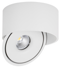 LED COB Downlight 20W ROUND ROTATABLE WHITE - BRIDGELUX