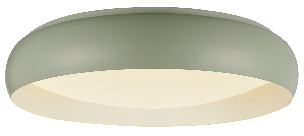 LED Ceiling Light 24W White/Reseda Body CCT