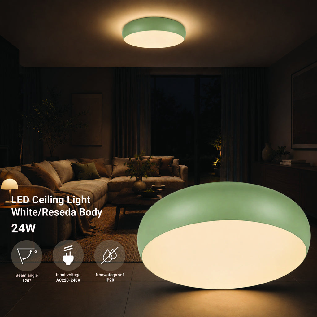 LED Ceiling Light 24W White/Reseda Body CCT - product view