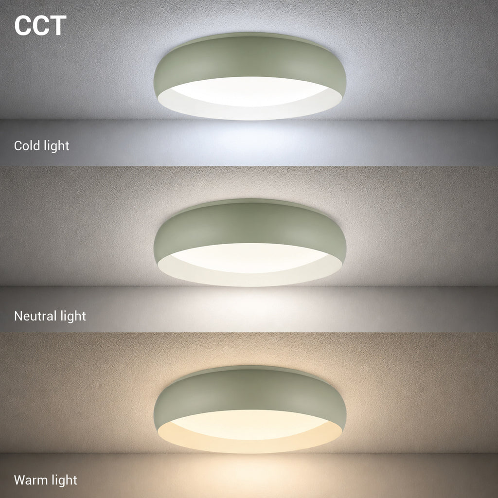 LED Ceiling Light 24W White/Reseda Body CCT - image 3