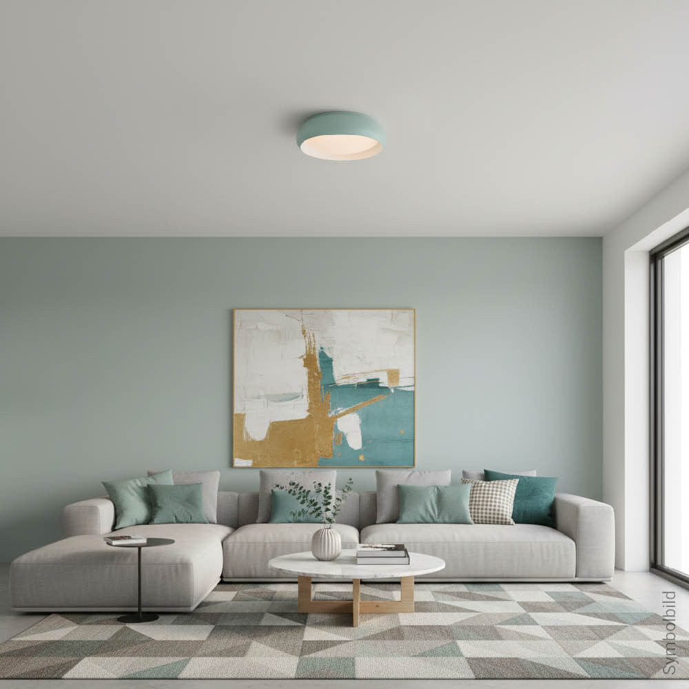 LED Ceiling Light 12W White/Cyan Body CCT - product view