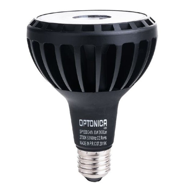 LED Bulb PAR30 E27