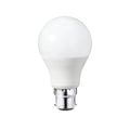 LED BULB A65 B22 DIMMABLE