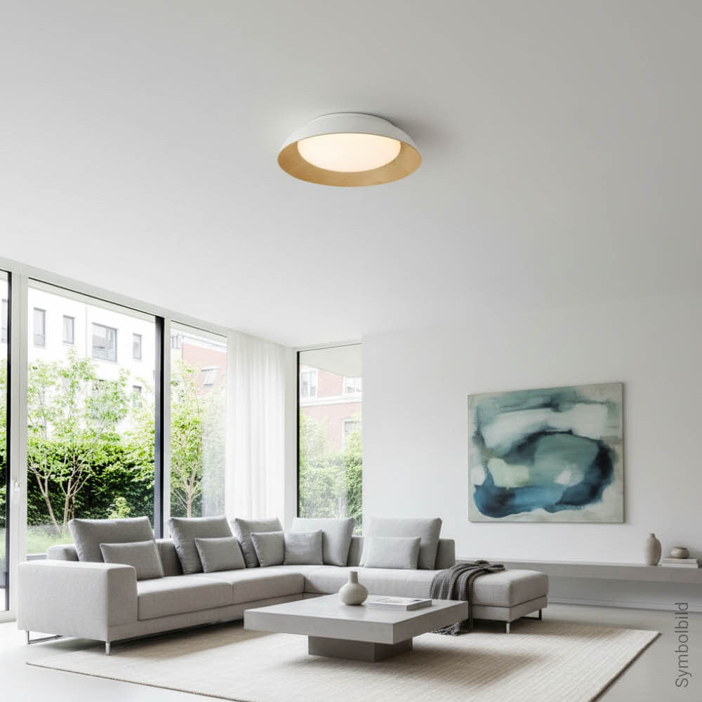 LED Ceiling Light 24W White/Wood Body CCT - image 7