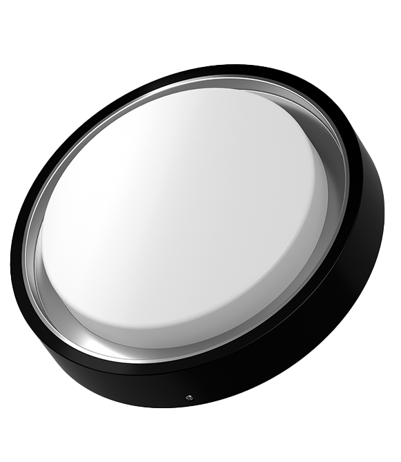 LED Outdoor Ceiling Light BLACK 30W CRI>80 IP65