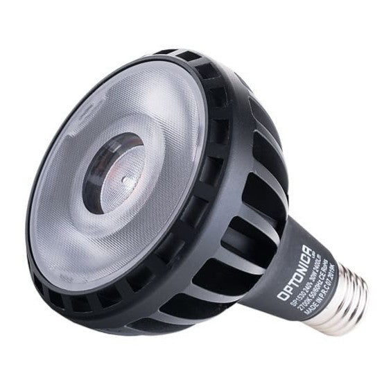 LED Bulb PAR30 E27 - product view