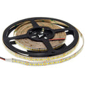 LED Strip 2835 24V Waterproof 100lm/W 3 Years Warranty