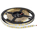 LED Strip 5050 24v Waterproof Professional Edition