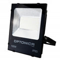 LED Dual Voltage Floodlight With Terminal Block Black Body 3 Years Warranty