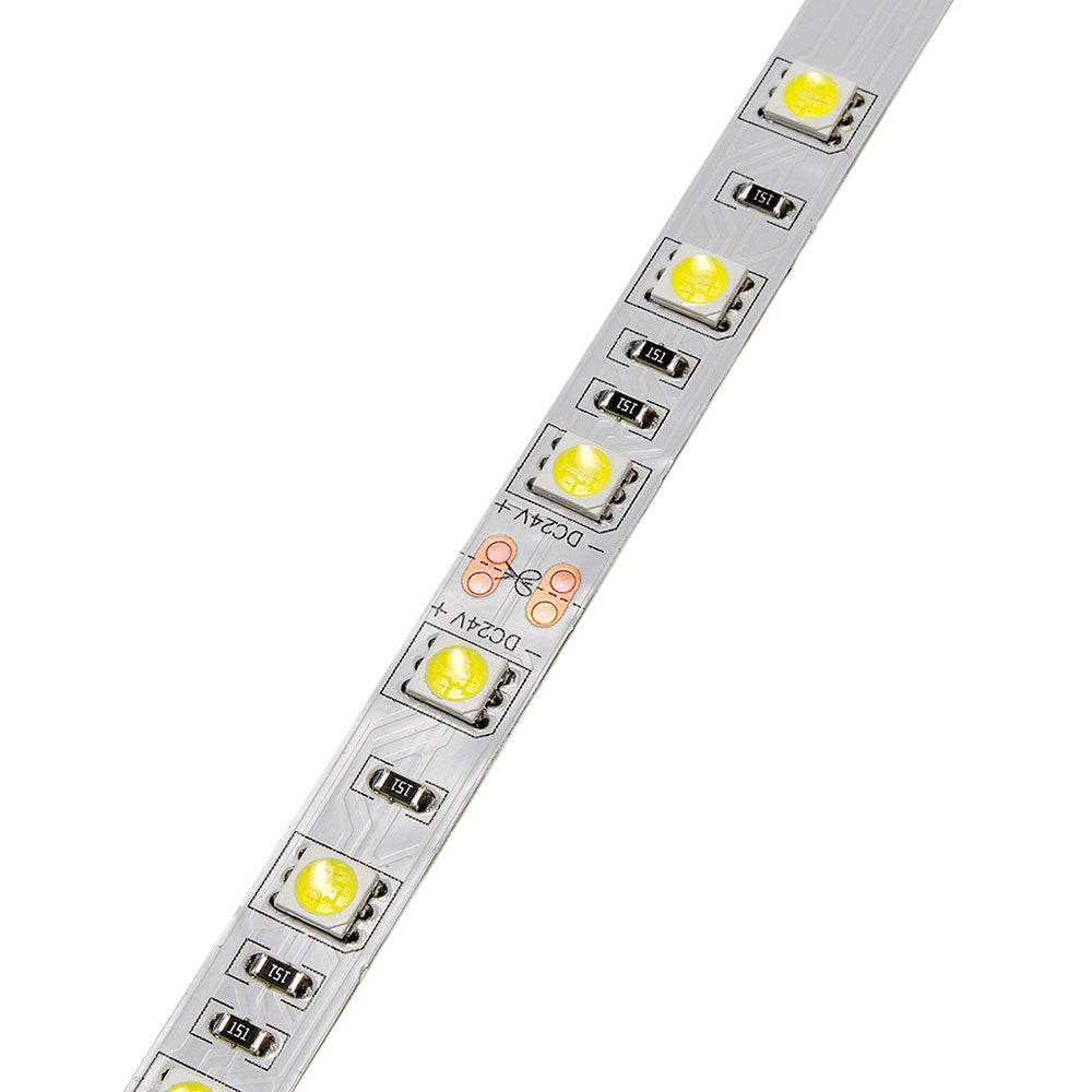 LED Strip 5050 24V Non-Waterproof Professional Edition - product view